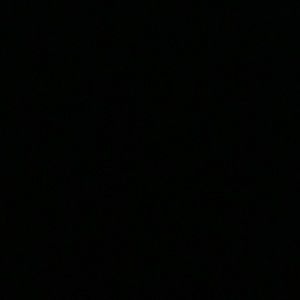 Meet your Posher, Owen